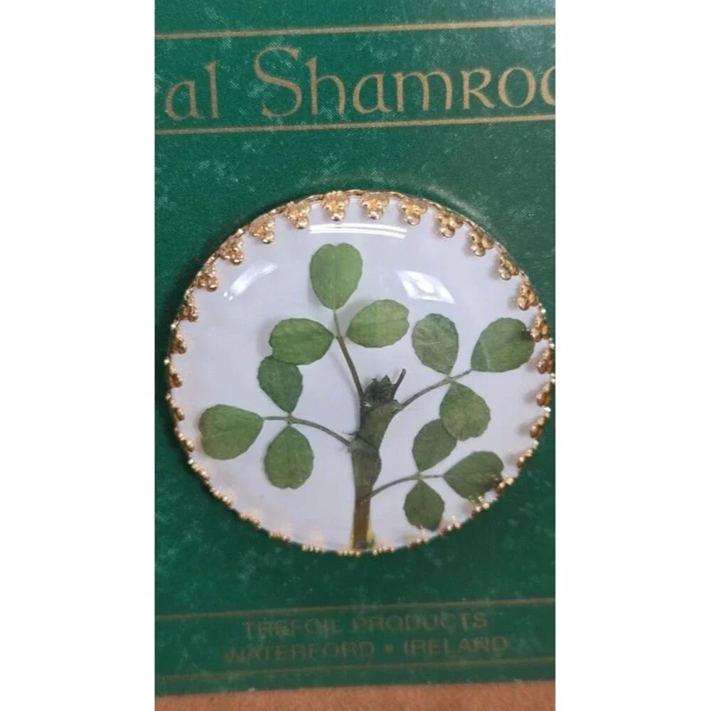 Vintage Real Pressed Shamrock Brooch Pin Ireland 🍀